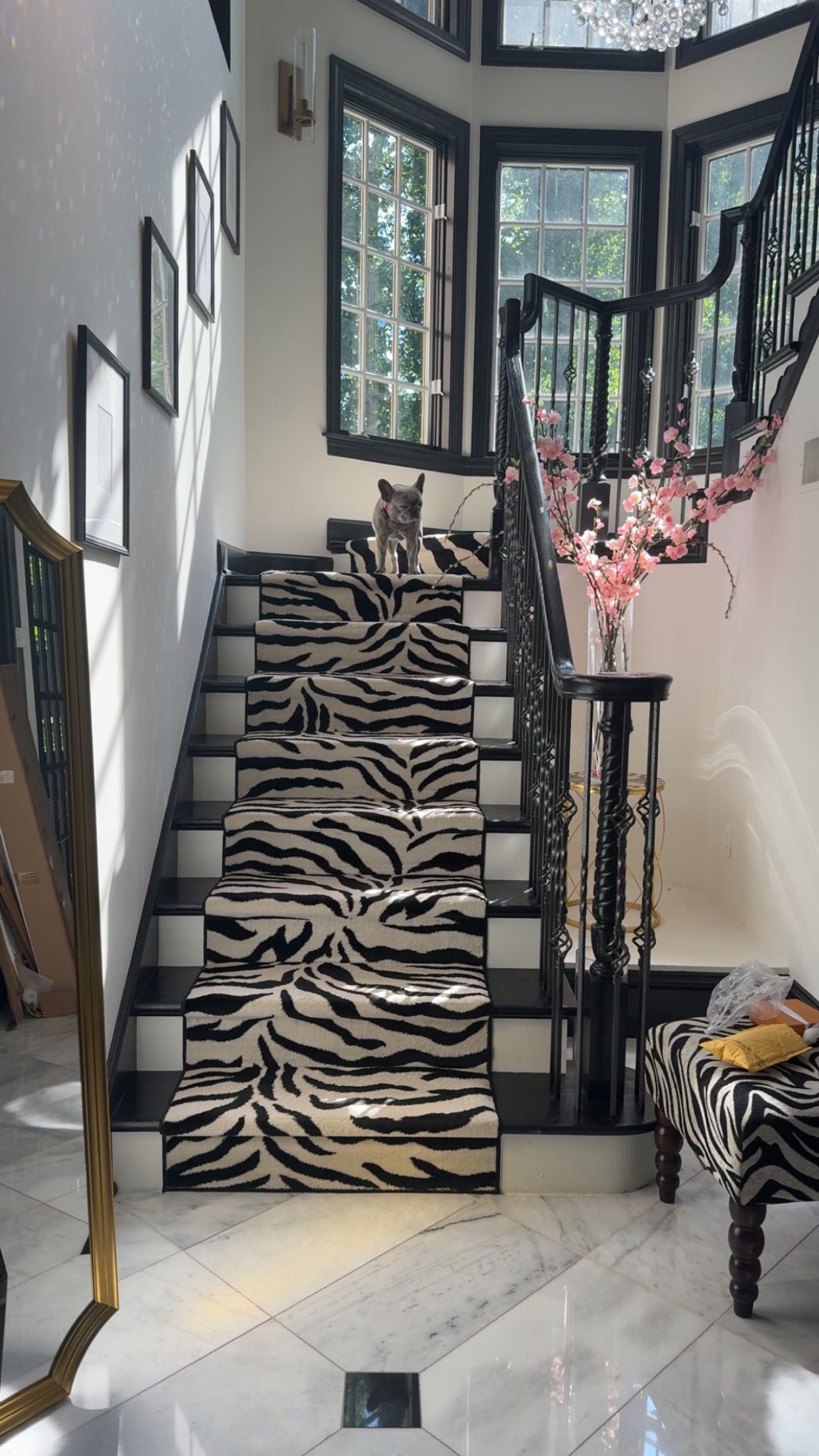 syd.shmitty snapchat image archive image