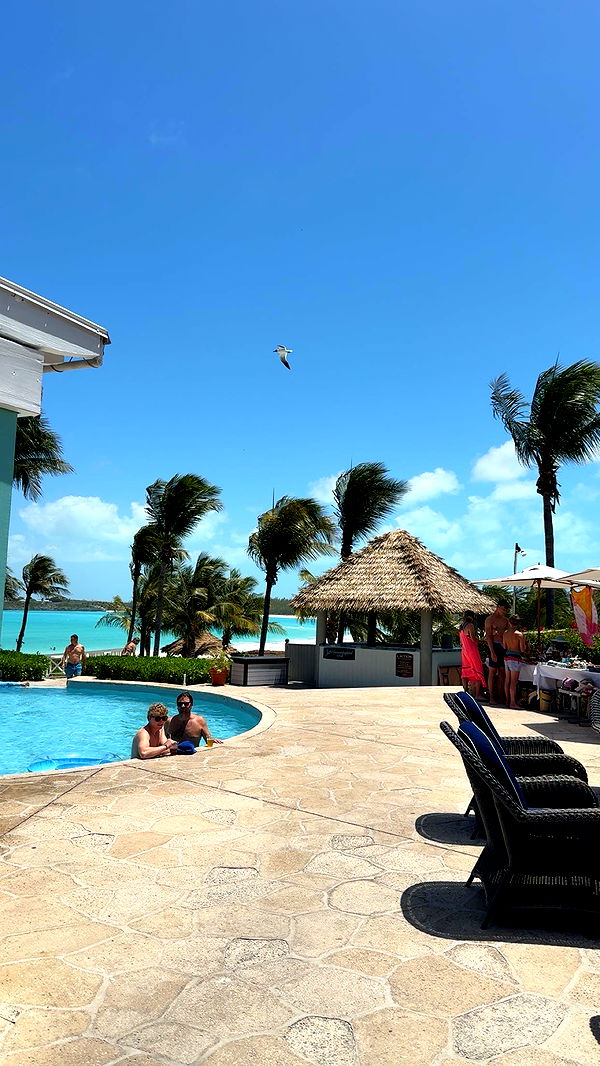 syd.shmitty image ~ Altpins