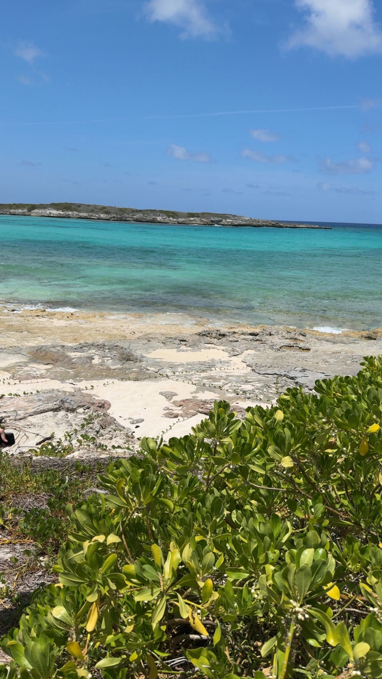 syd.shmitty snapchat image archive image