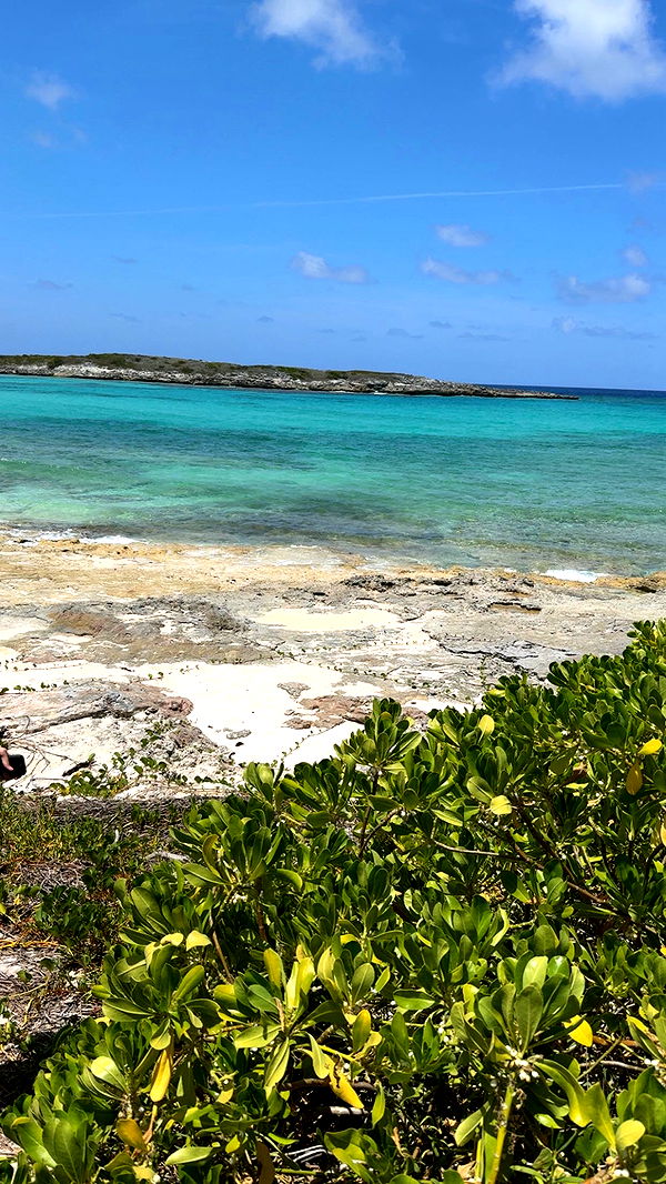 syd.shmitty image ~ Altpins