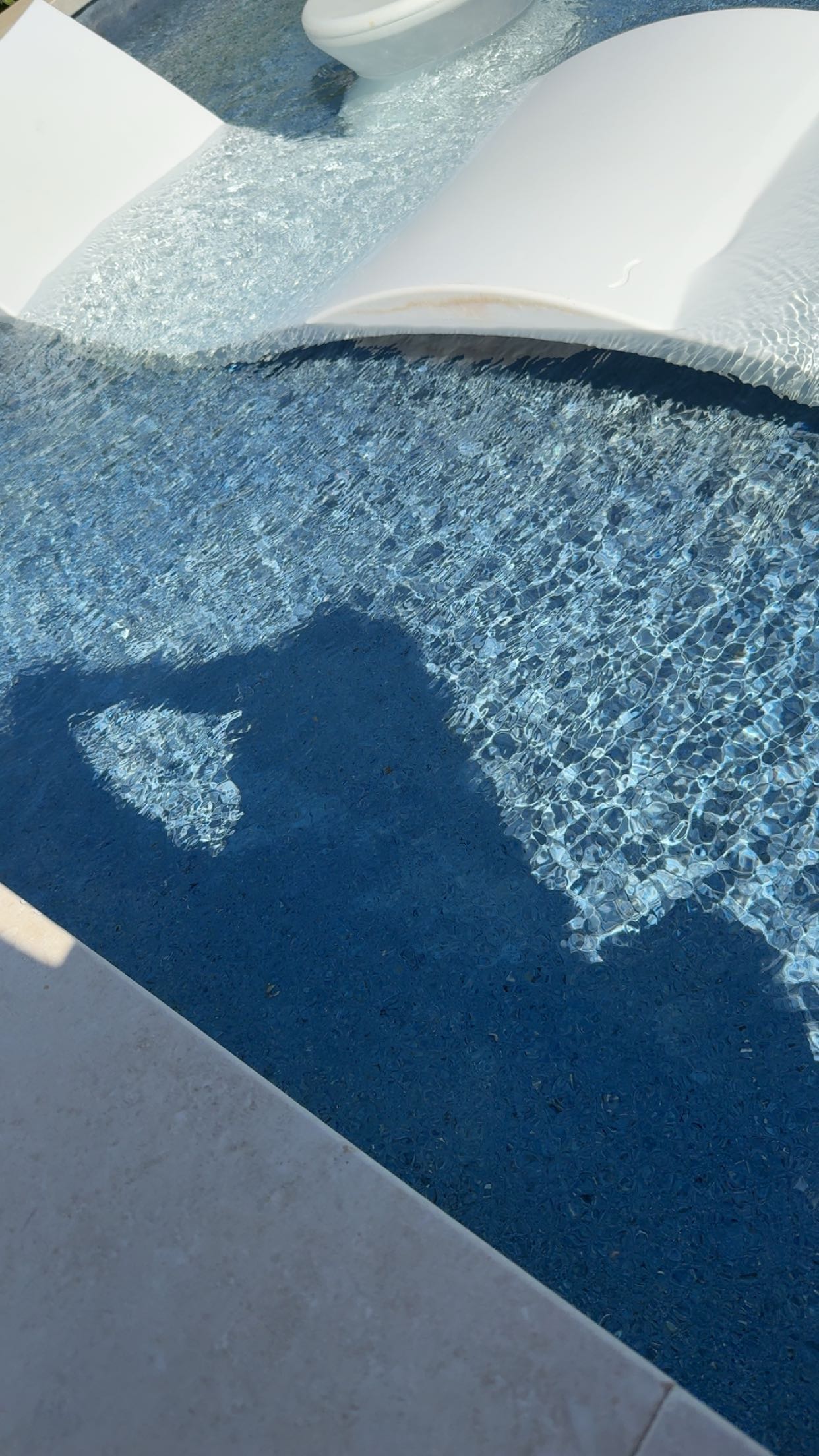 syd.shmitty snapchat image archive image