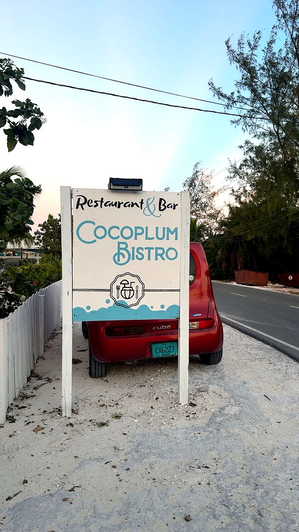 syd.shmitty image ~ Altpins