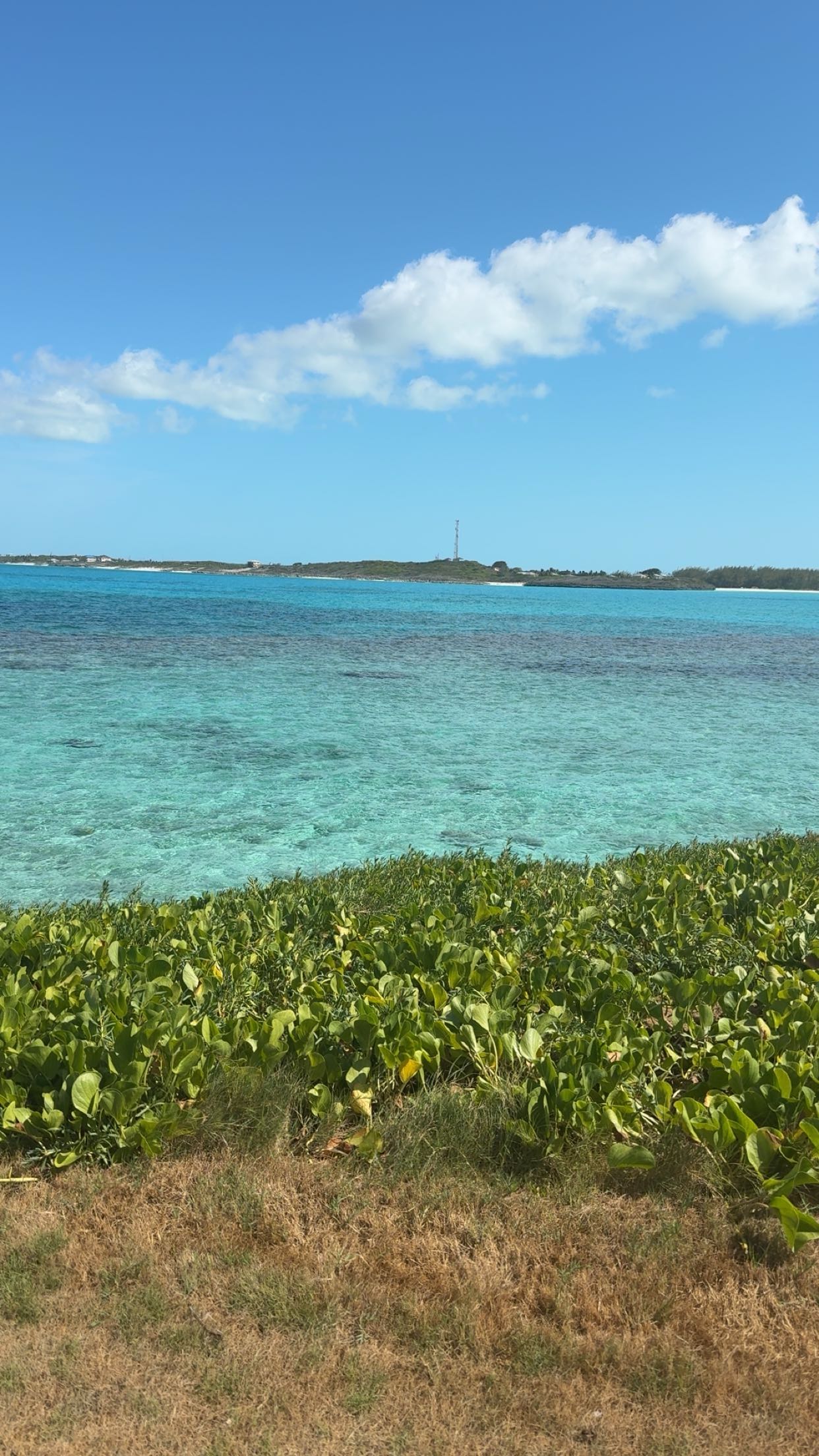 syd.shmitty snapchat image archive image