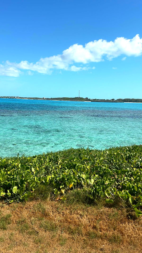 syd.shmitty image ~ Altpins