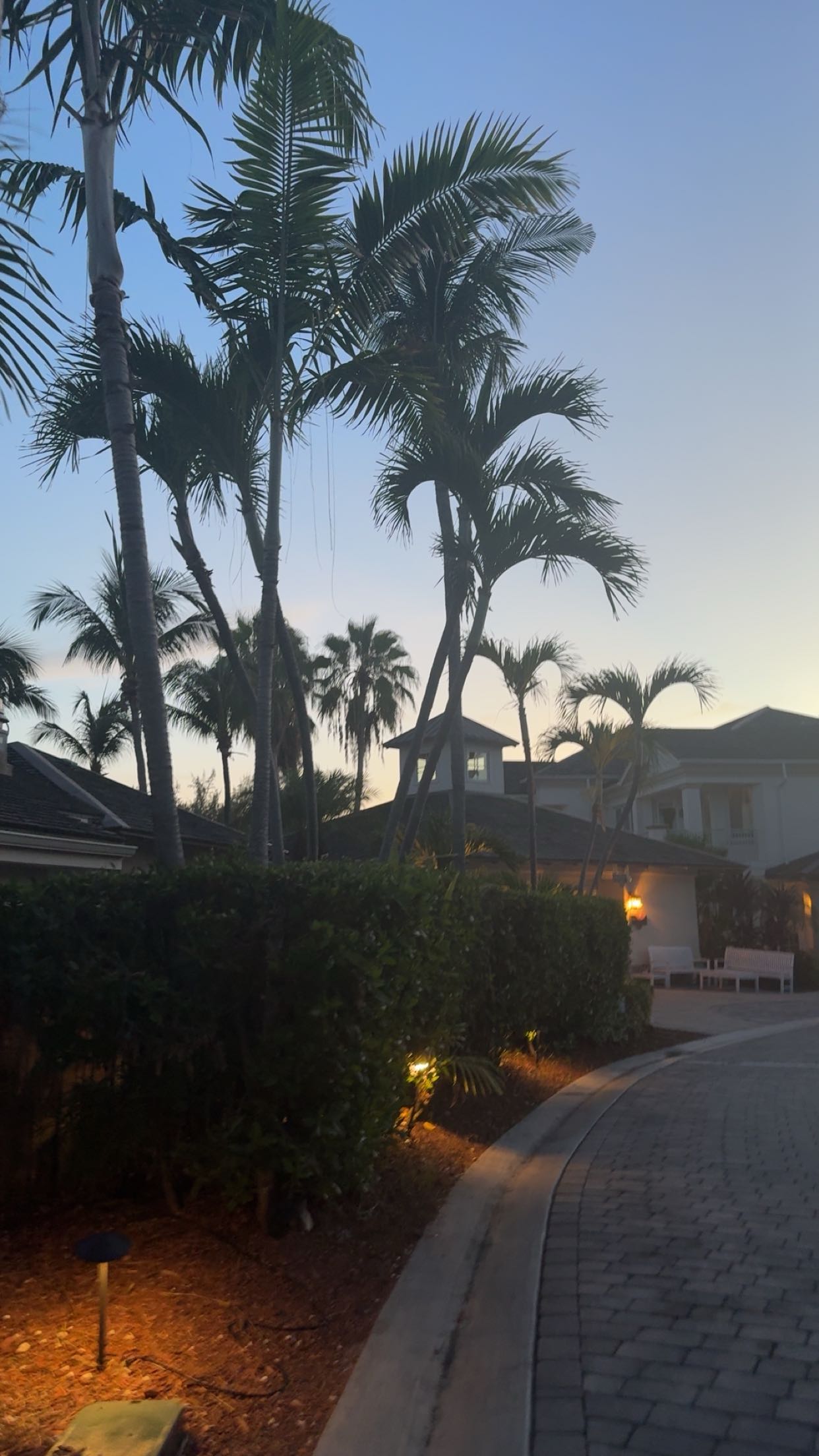 syd.shmitty snapchat image archive image