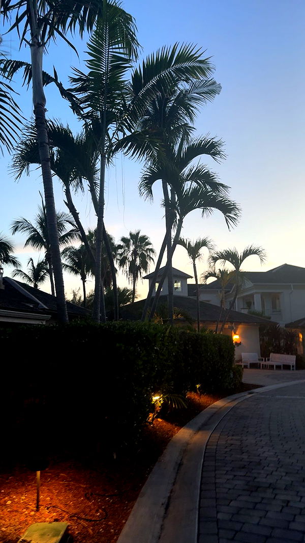 syd.shmitty image ~ Altpins