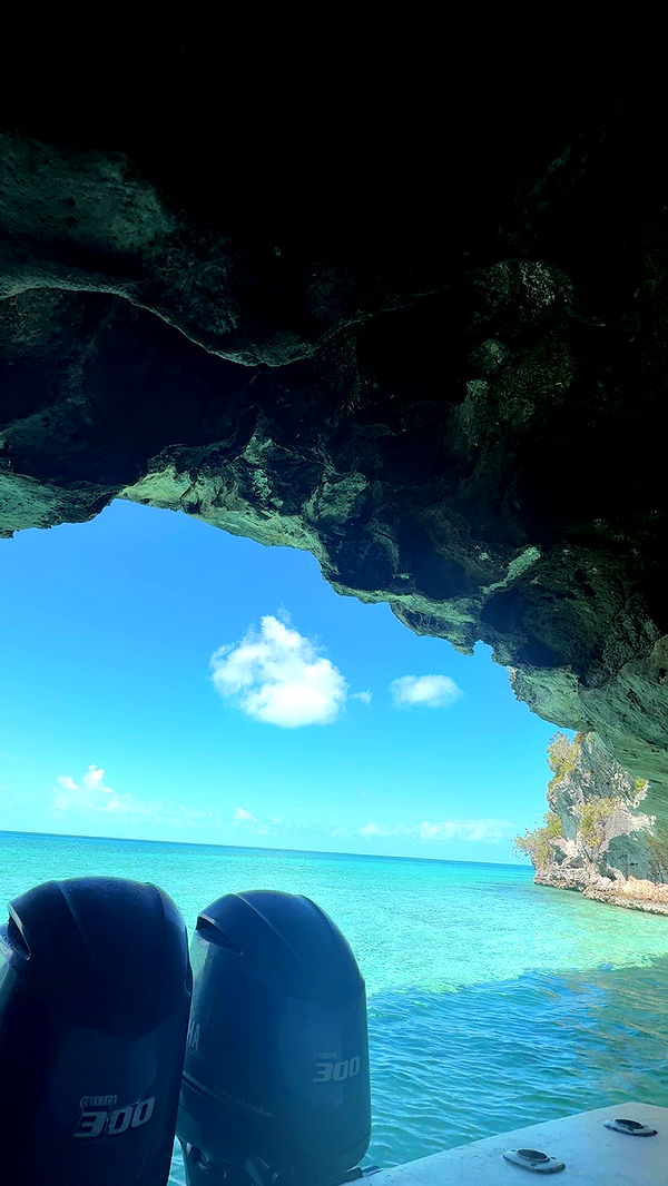 syd.shmitty image ~ Altpins