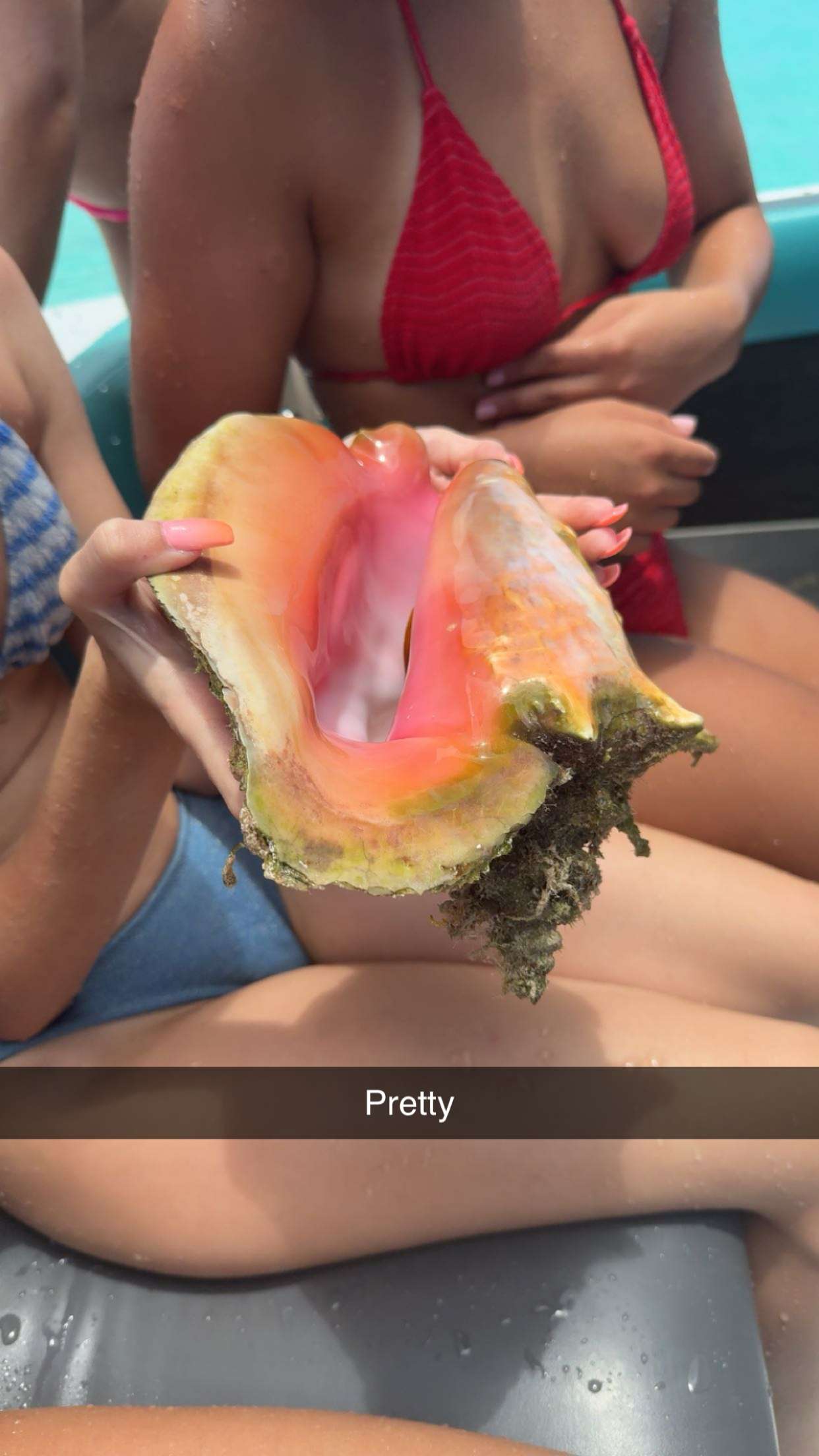 syd.shmitty snapchat image archive image