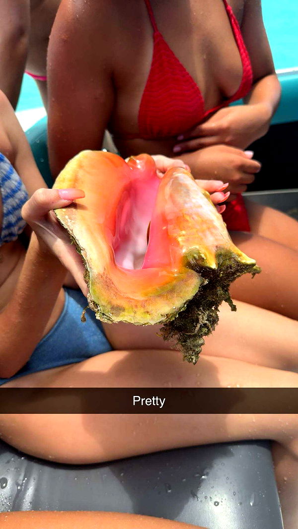 syd.shmitty image ~ Altpins