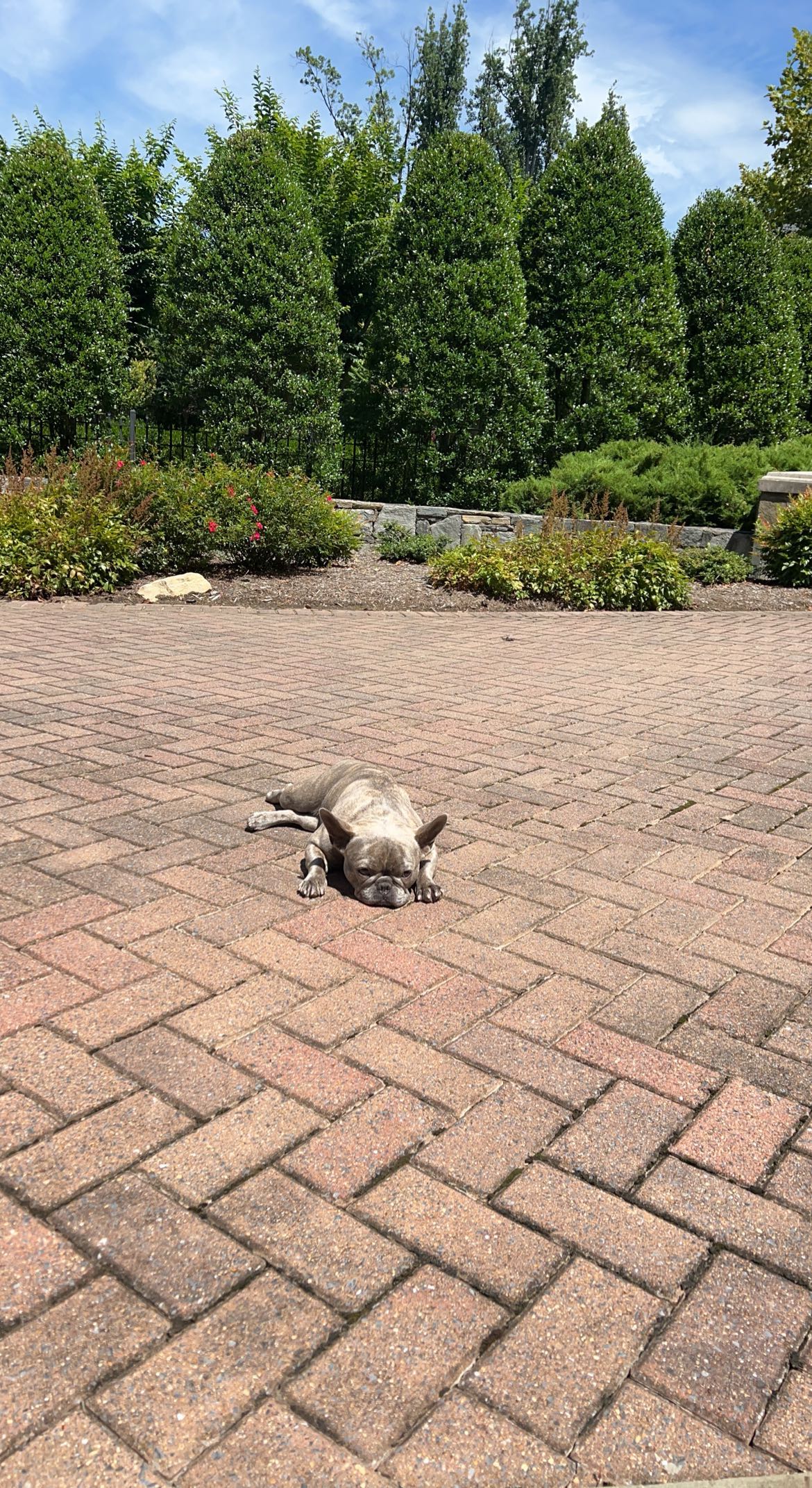 syd.shmitty snapchat image archive image