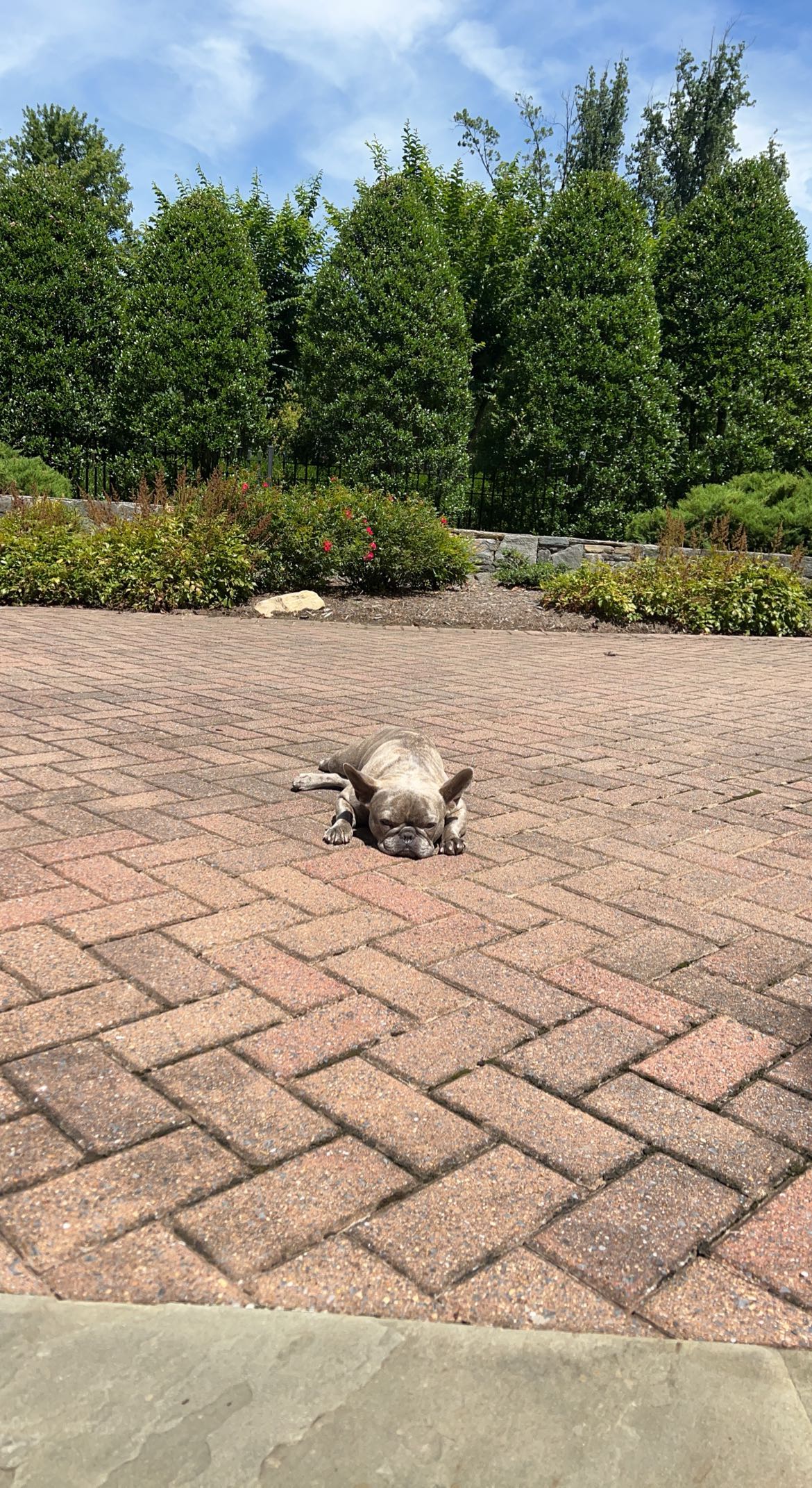 syd.shmitty snapchat image archive image