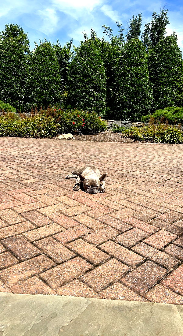 syd.shmitty image ~ Altpins