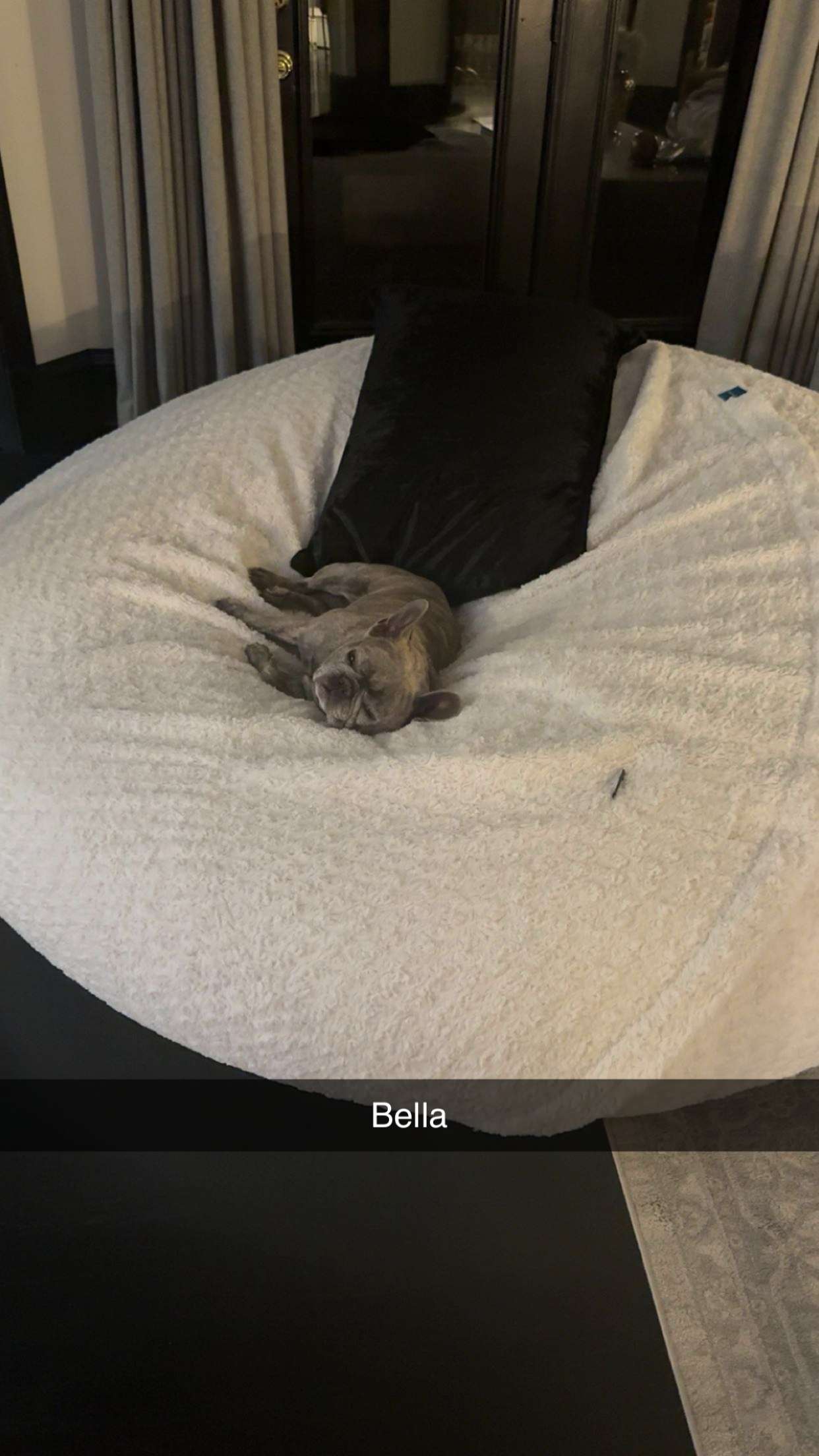 syd.shmitty snapchat image archive image