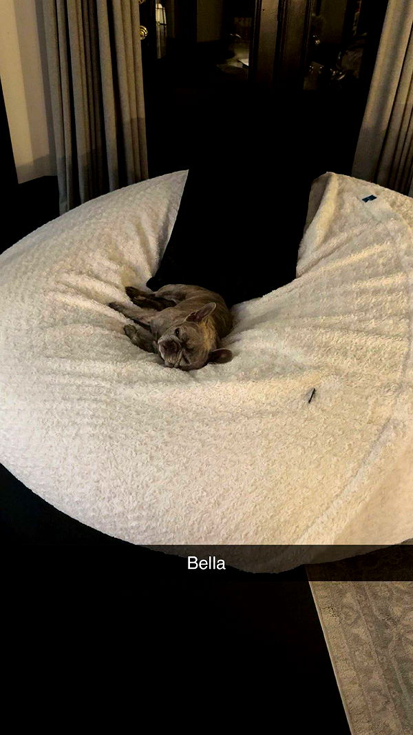 syd.shmitty image ~ Altpins