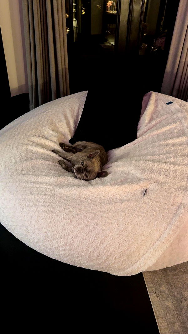 syd.shmitty image ~ Altpins