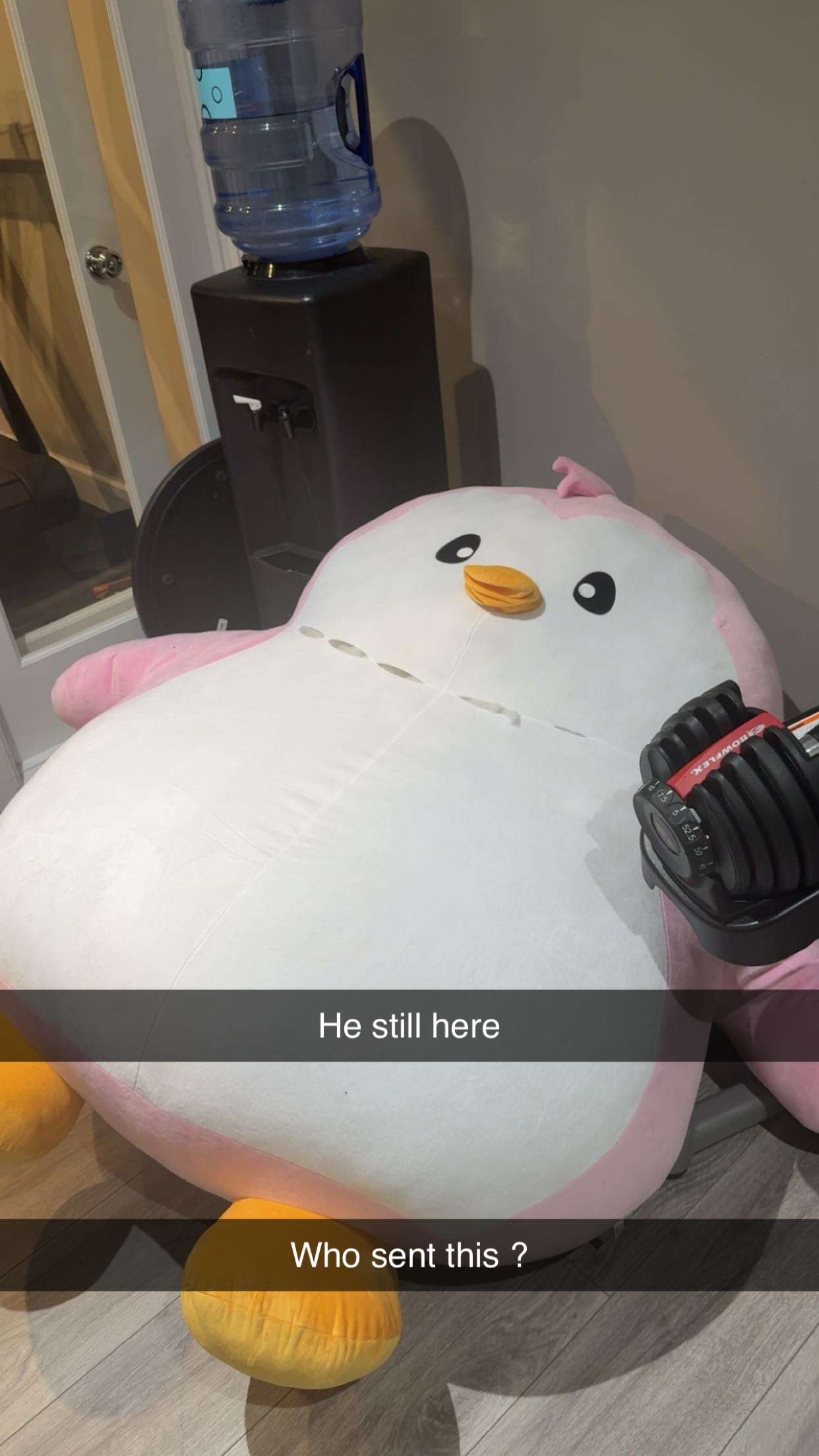 syd.shmitty snapchat image archive image