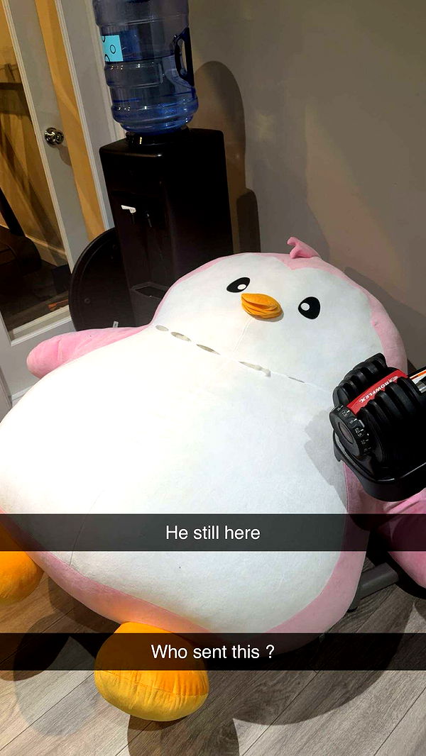 syd.shmitty image ~ Altpins