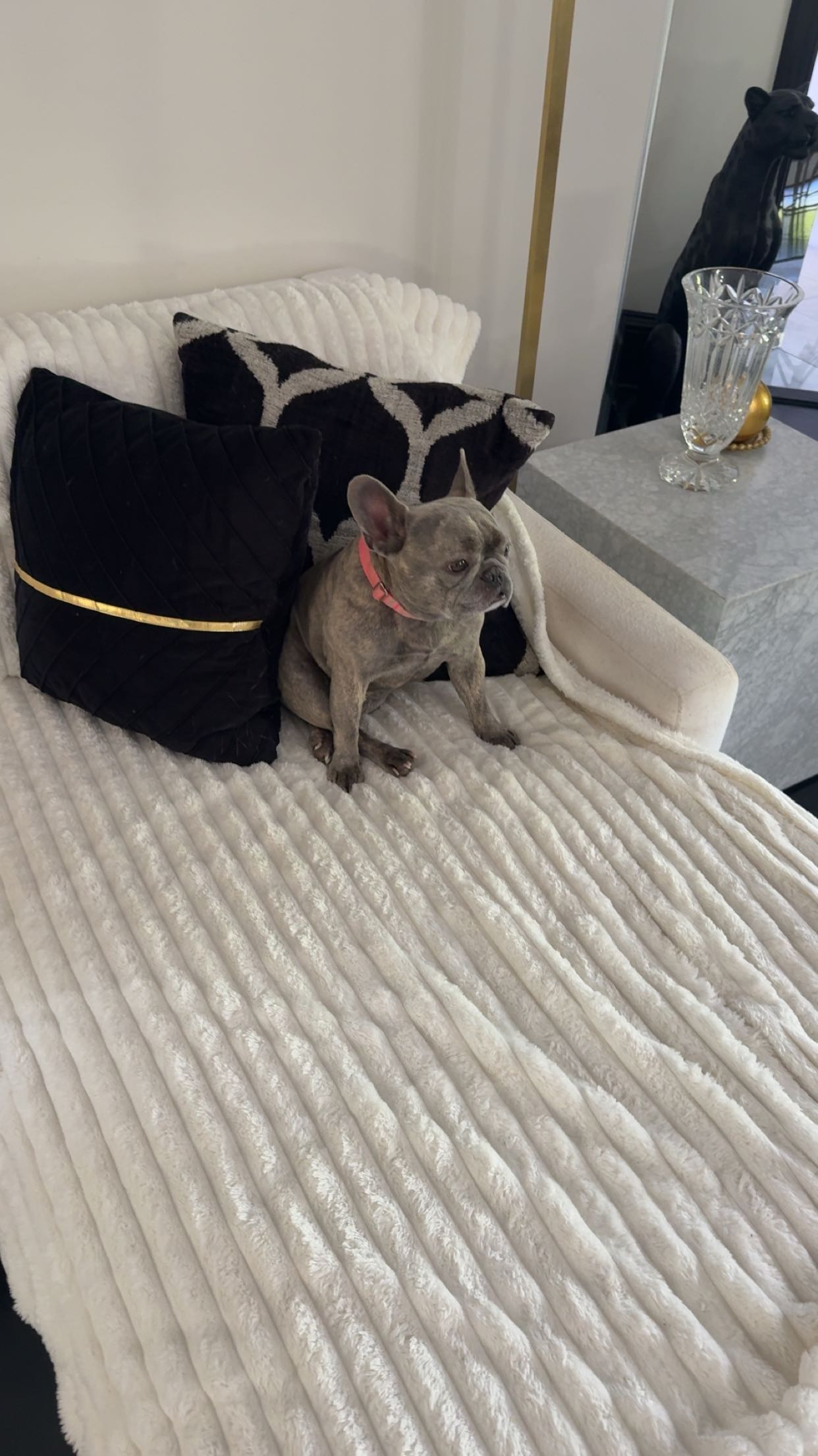 syd.shmitty snapchat image archive image