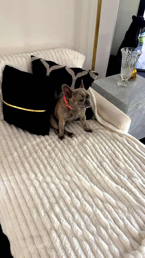 syd.shmitty image ~ Altpins