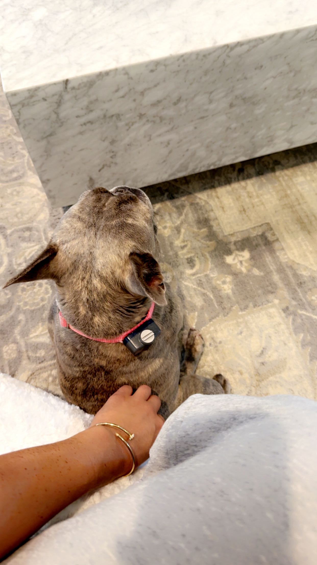 syd.shmitty snapchat image archive image