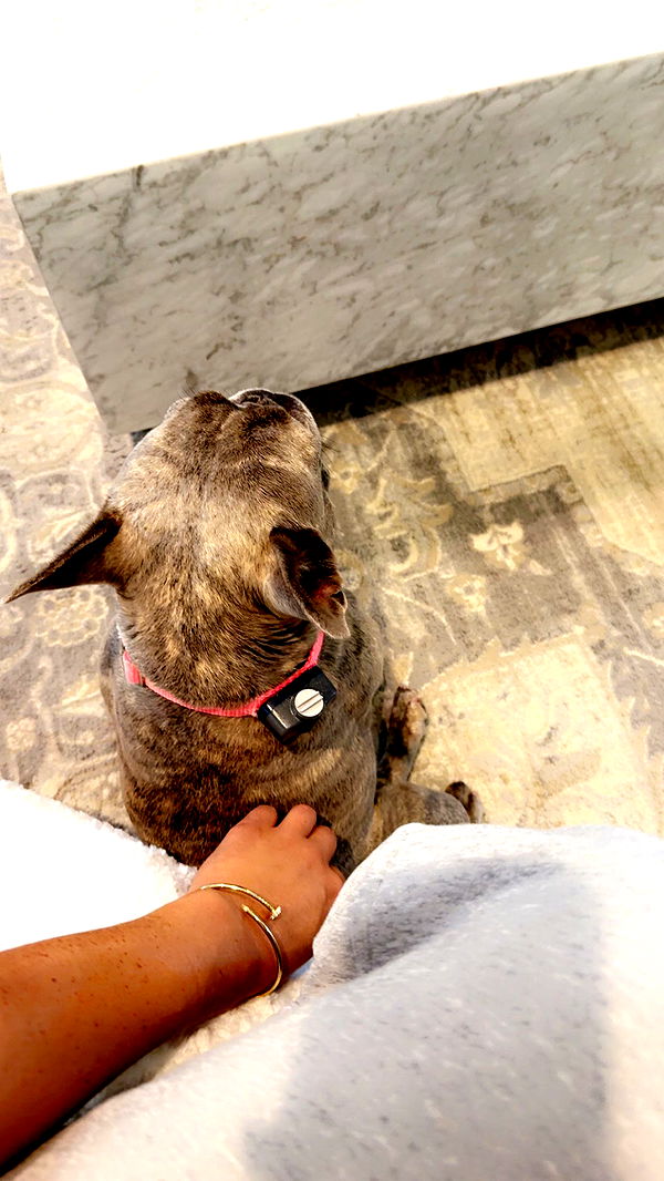 syd.shmitty image ~ Altpins