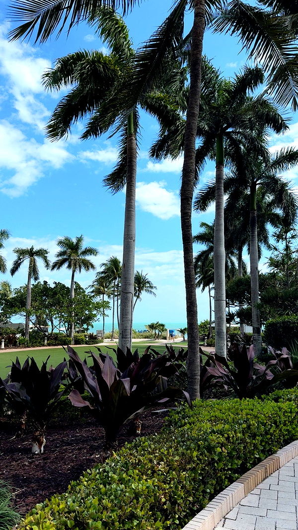 syd.shmitty image ~ Altpins