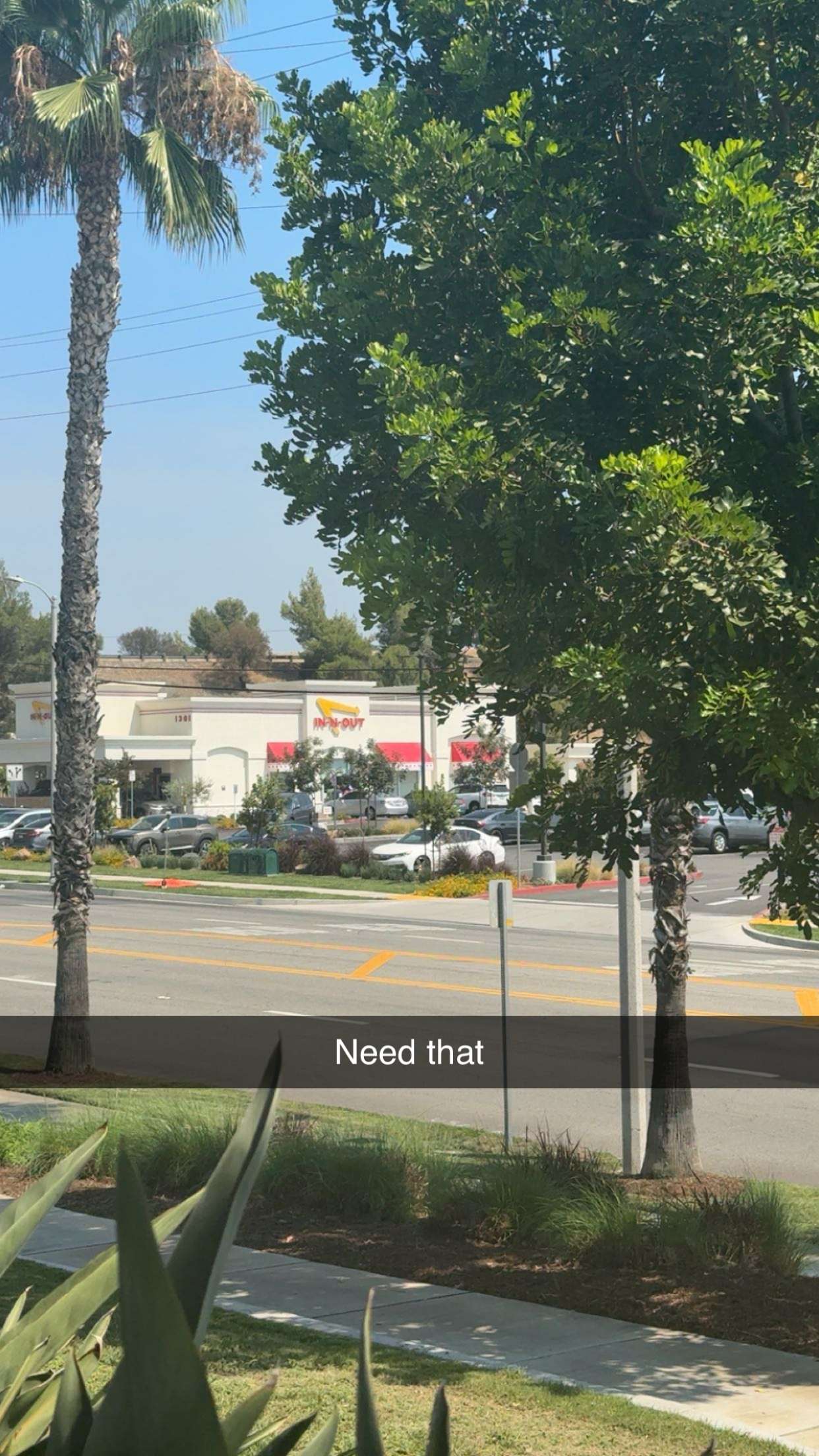 syd.shmitty snapchat image archive image