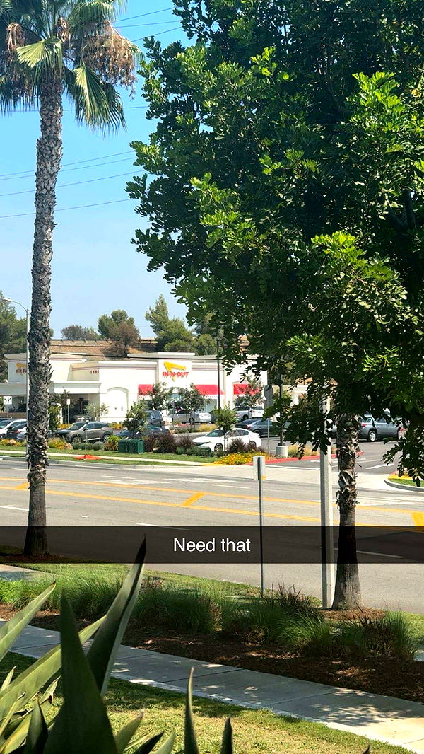 syd.shmitty image ~ Altpins