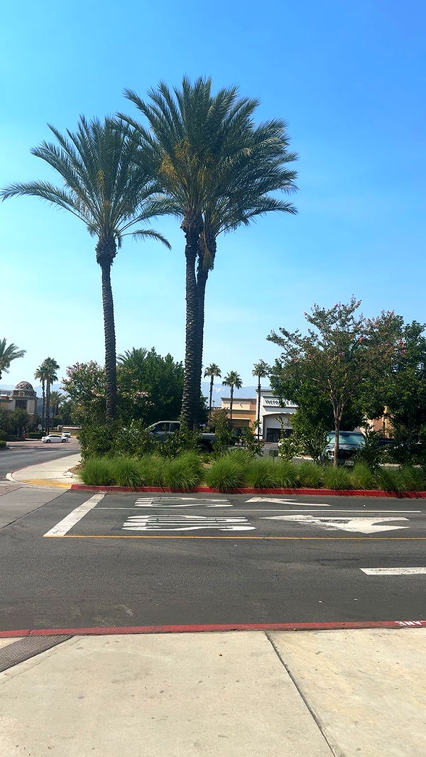 syd.shmitty image ~ Altpins