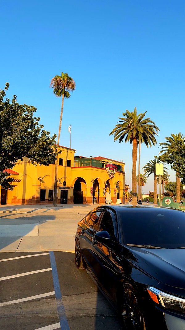 syd.shmitty image ~ Altpins