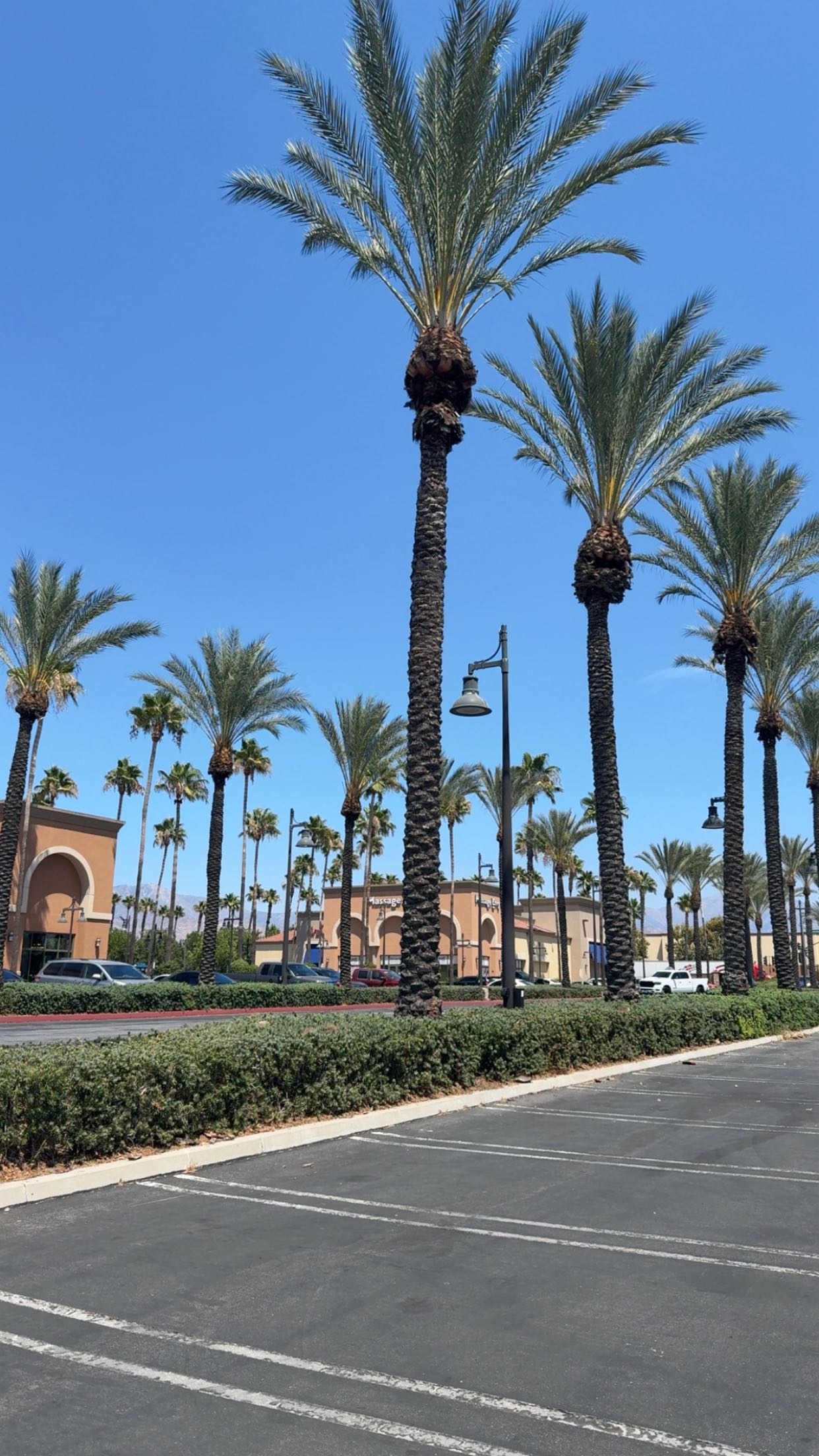 syd.shmitty snapchat image archive image