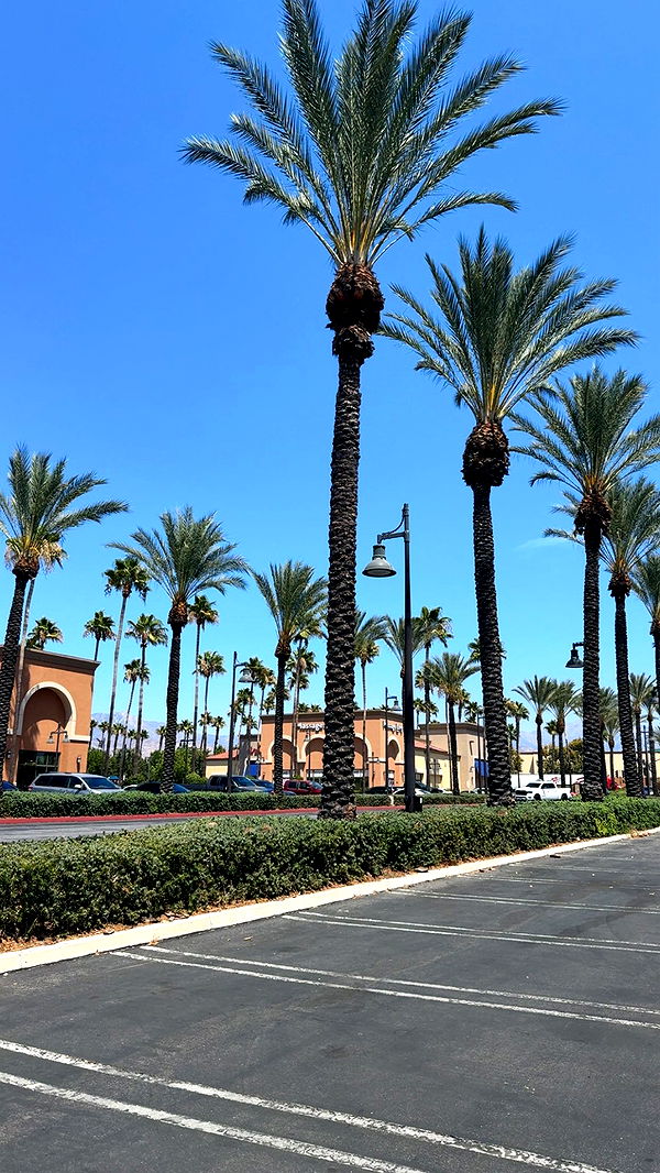 syd.shmitty image ~ Altpins