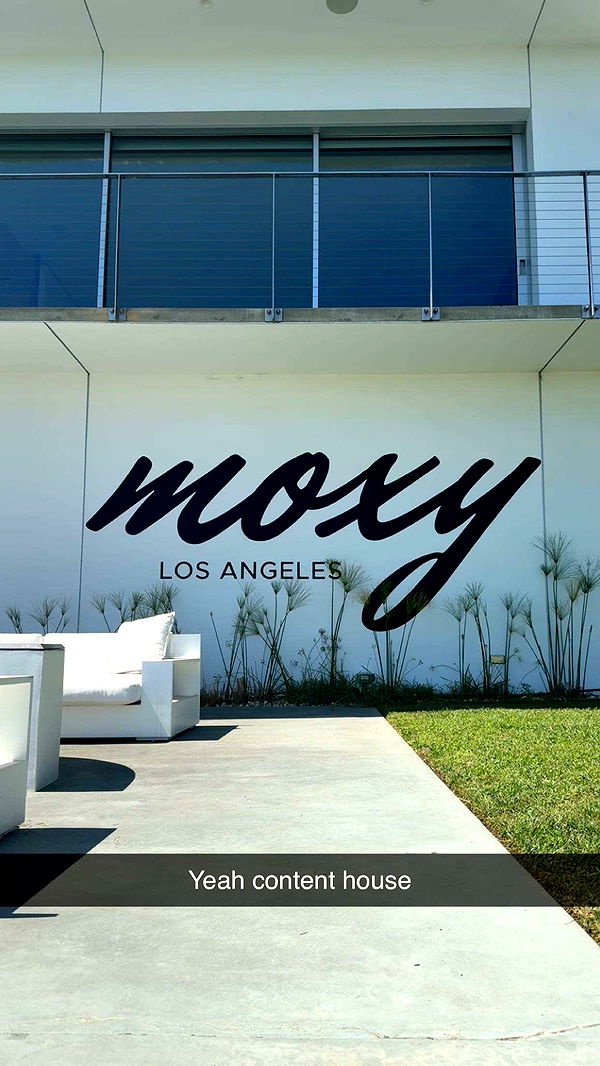 syd.shmitty image ~ Altpins