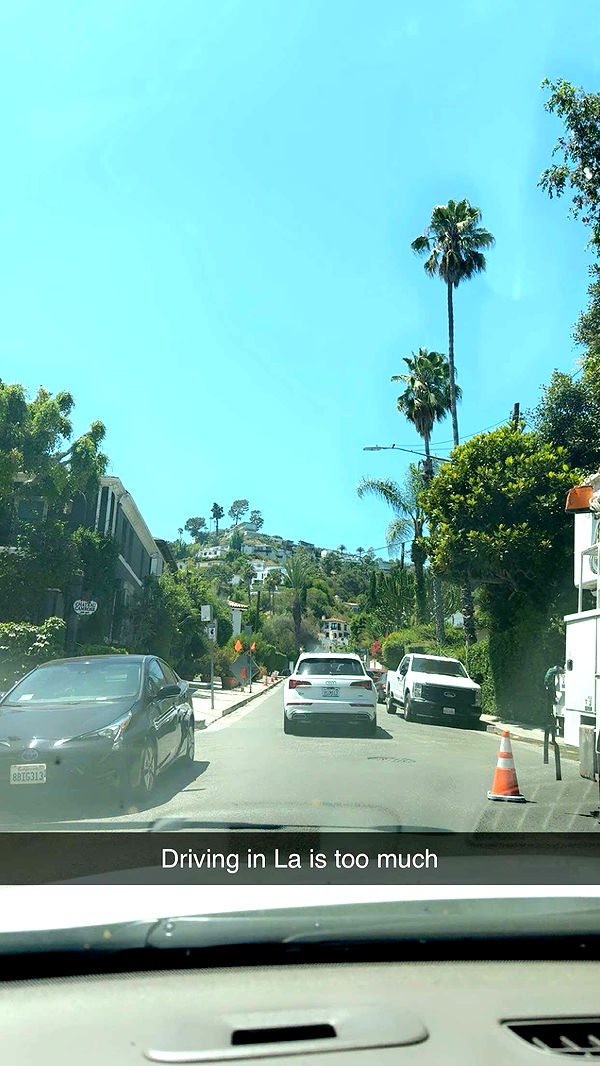 syd.shmitty image ~ Altpins