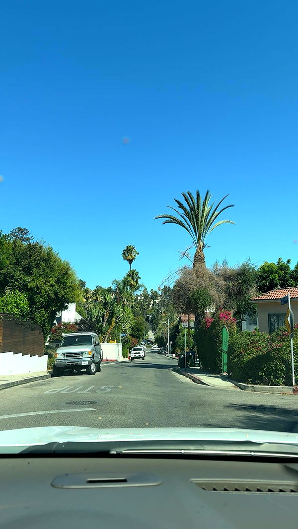 syd.shmitty image ~ Altpins