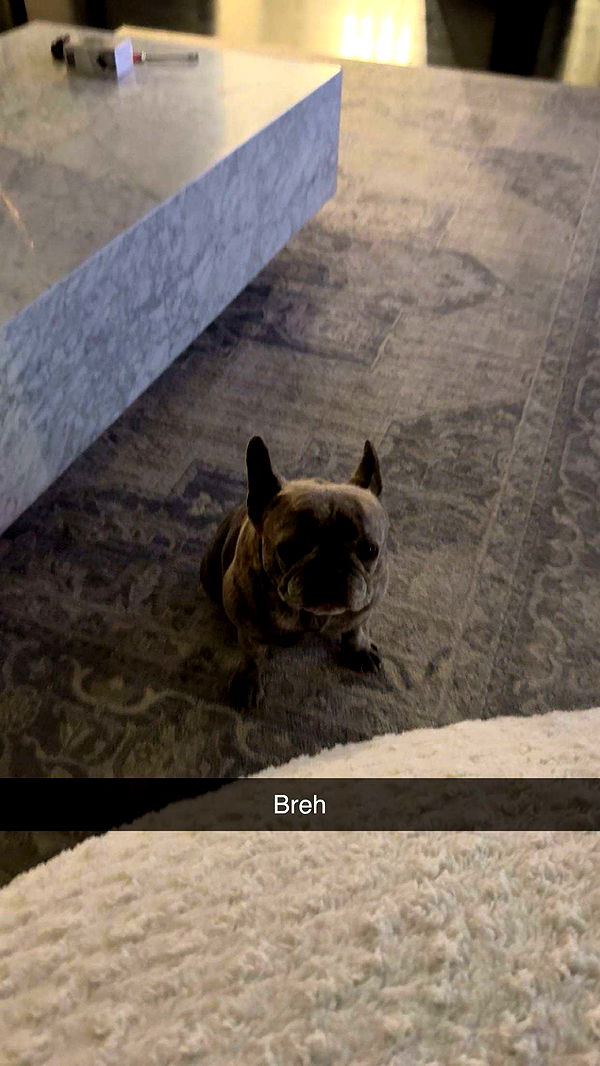 syd.shmitty image ~ Altpins