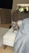 syd.shmitty Altpins Profile Picture