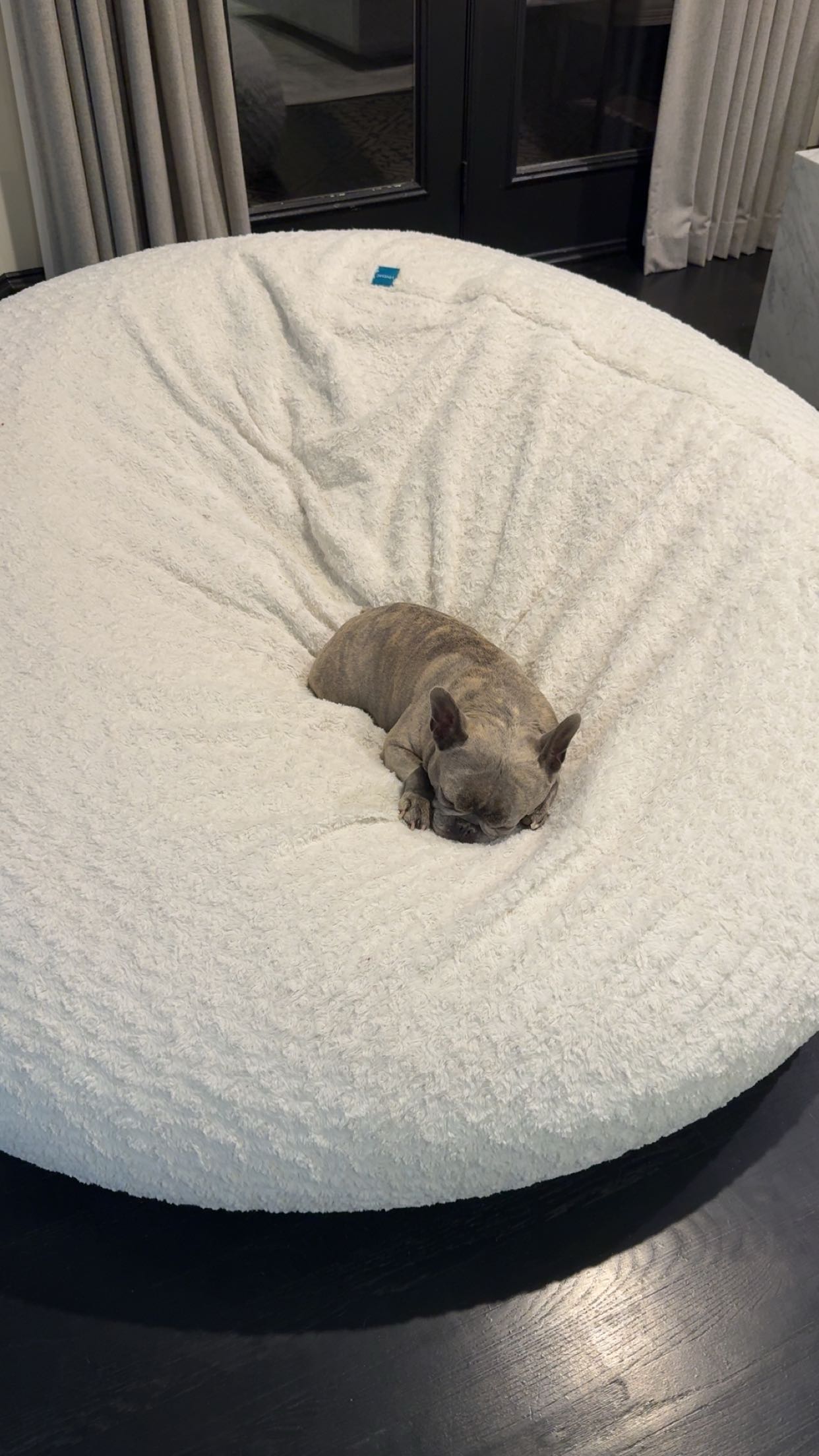 syd.shmitty snapchat image archive image