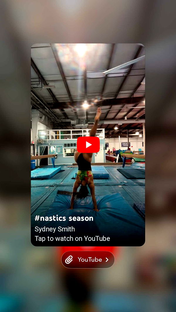 syd.shmitty image ~ Altpins