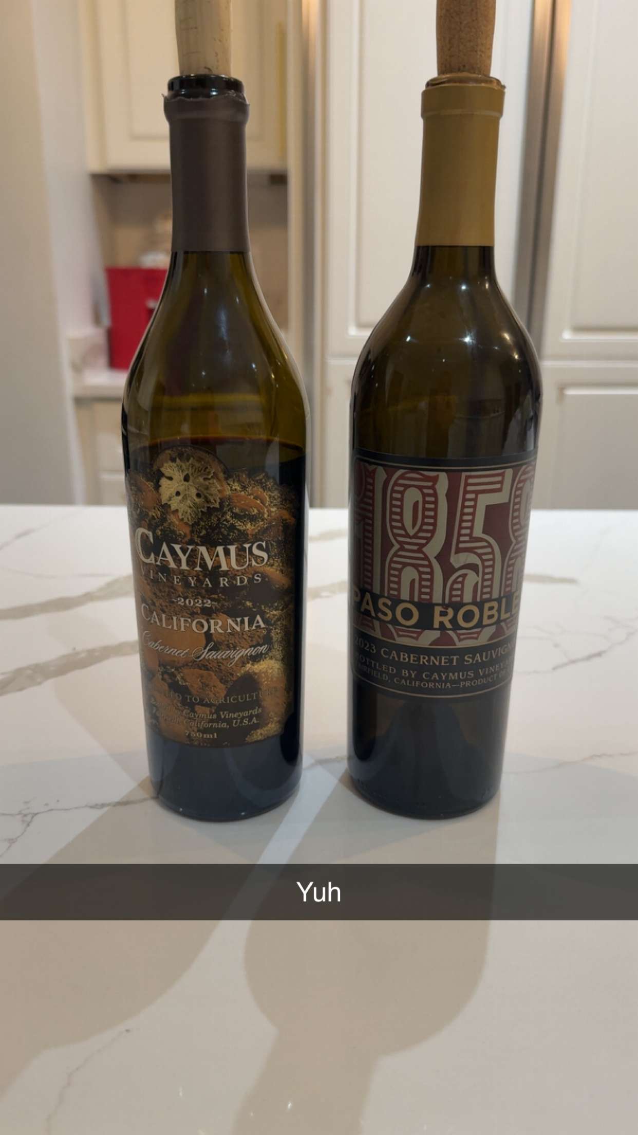 syd.shmitty snapchat image archive image