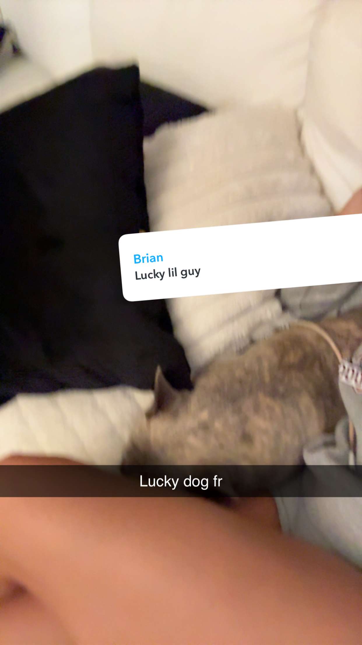 syd.shmitty snapchat image archive image