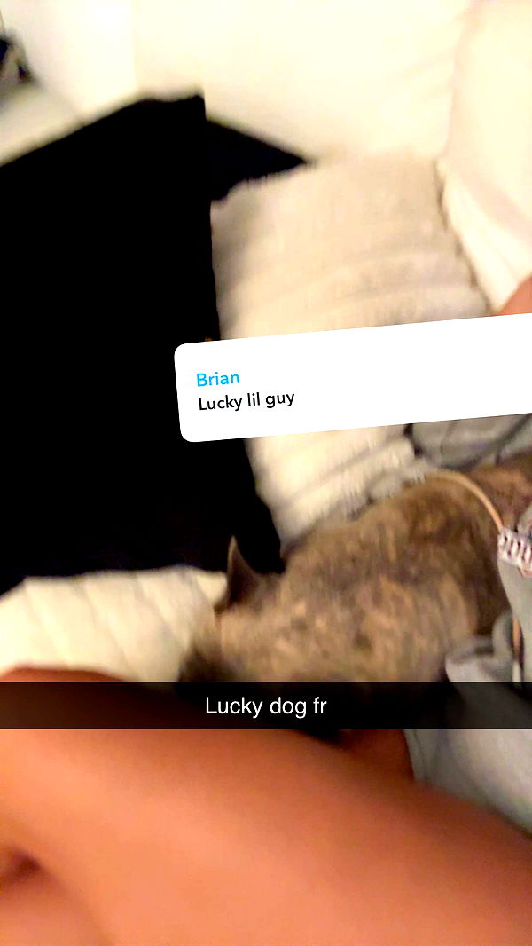 syd.shmitty image ~ Altpins