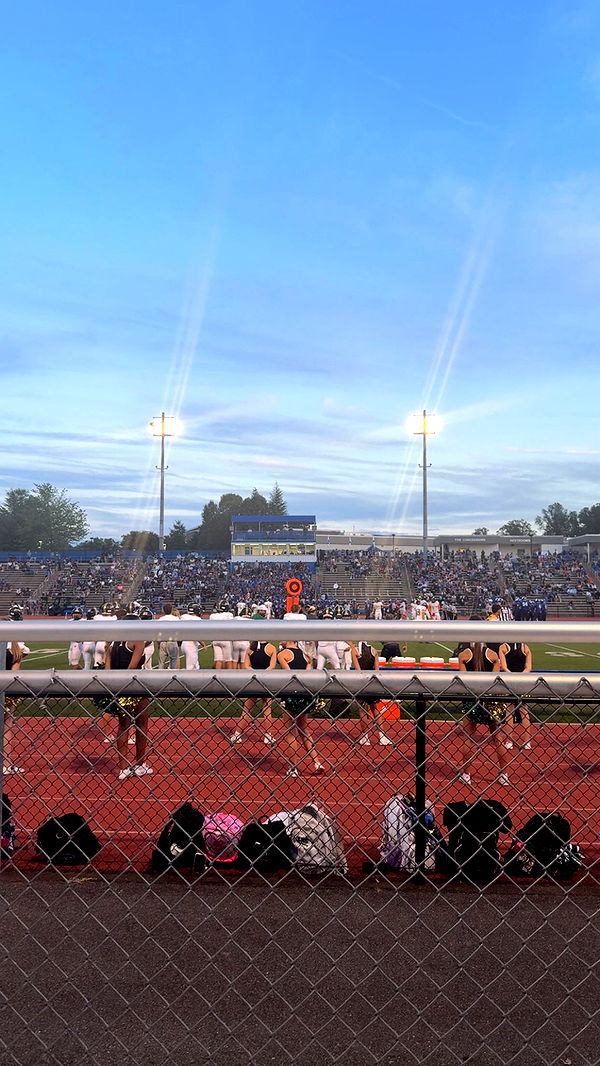 syd.shmitty image ~ Altpins