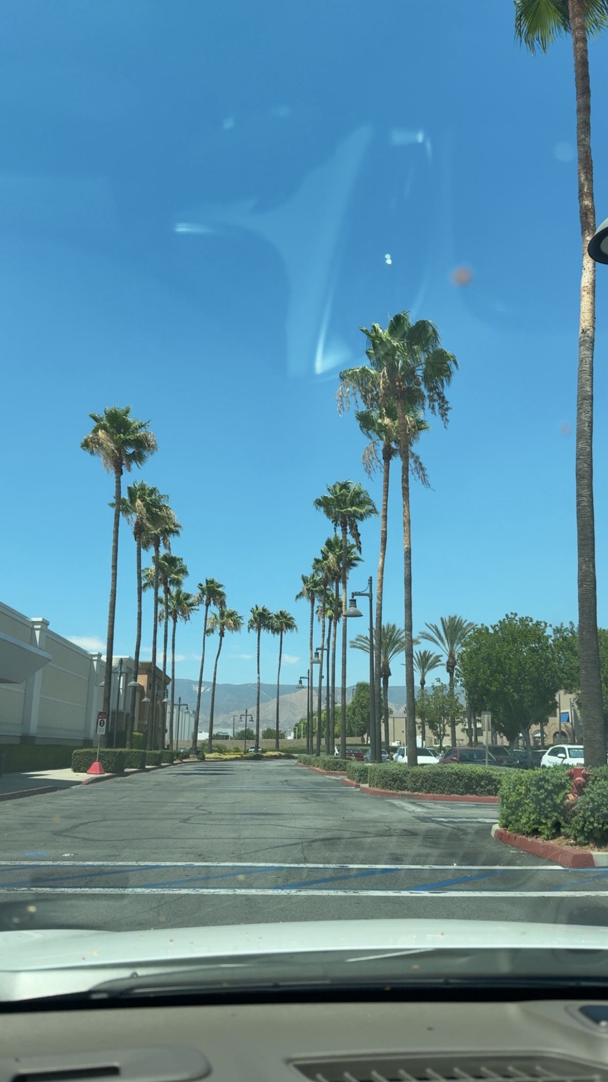 syd.shmitty snapchat image archive image