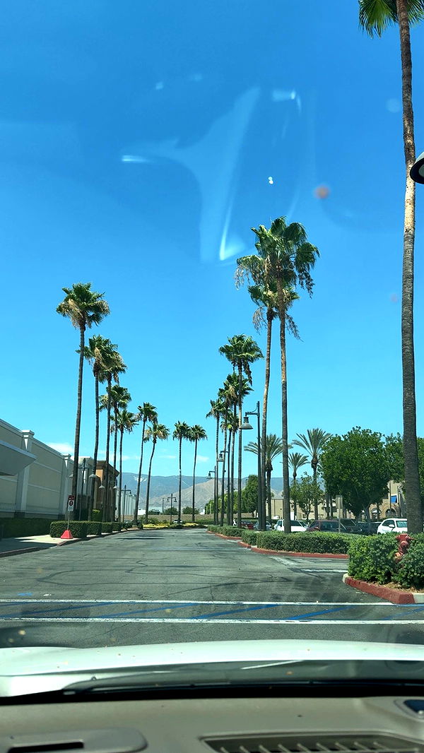 syd.shmitty image ~ Altpins