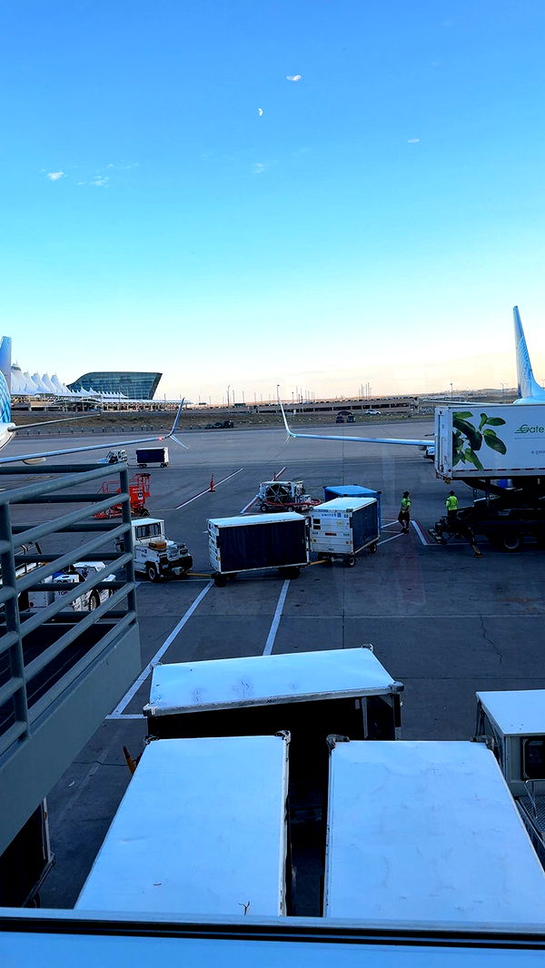 syd.shmitty image ~ Altpins