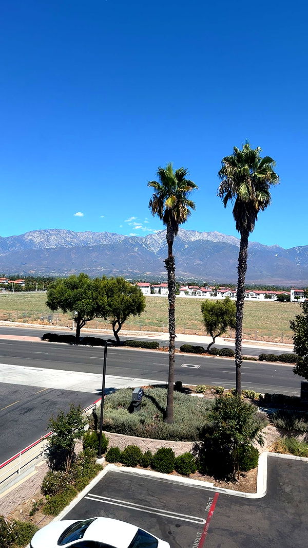 syd.shmitty image ~ Altpins