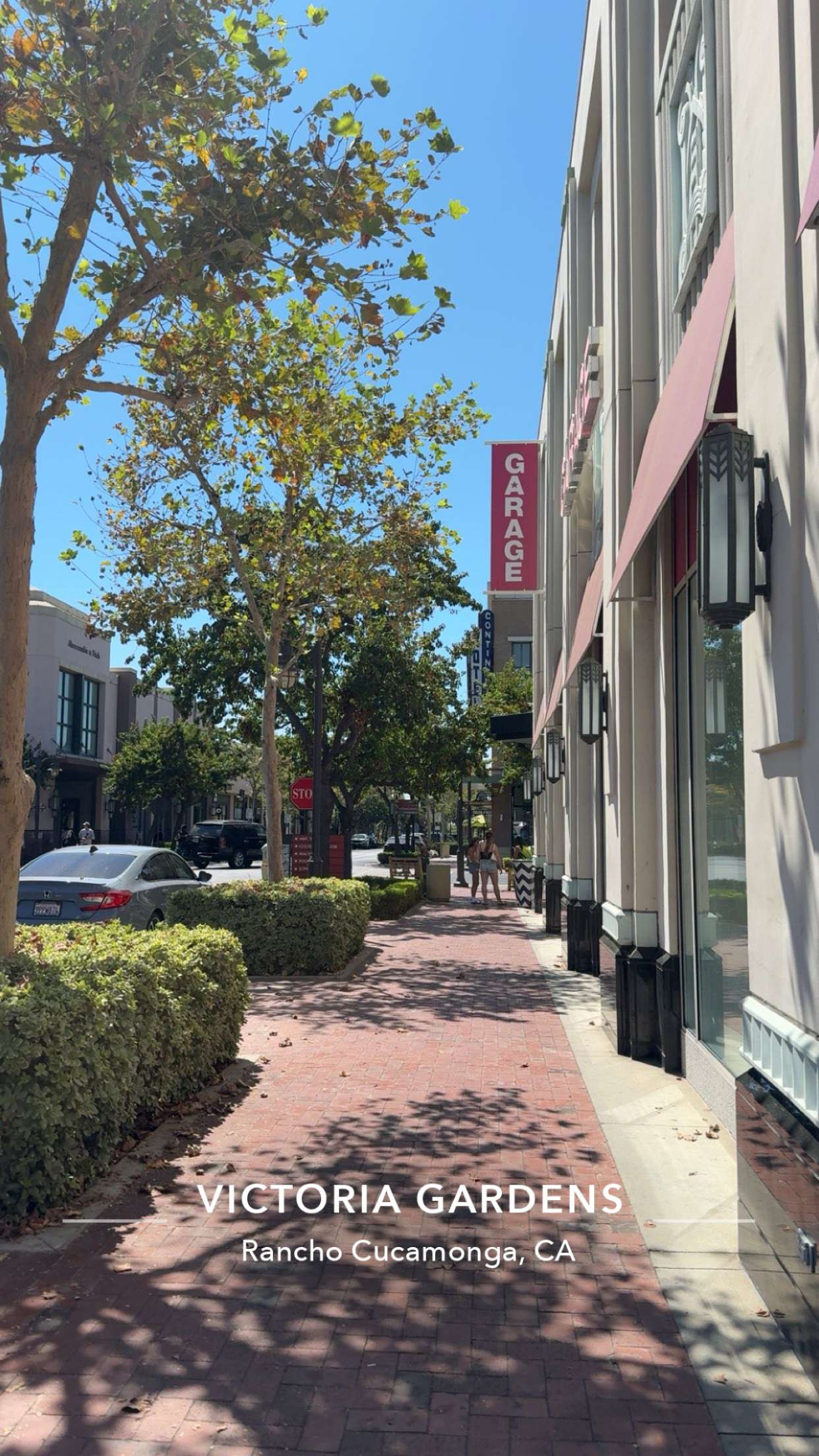 syd.shmitty snapchat image archive image