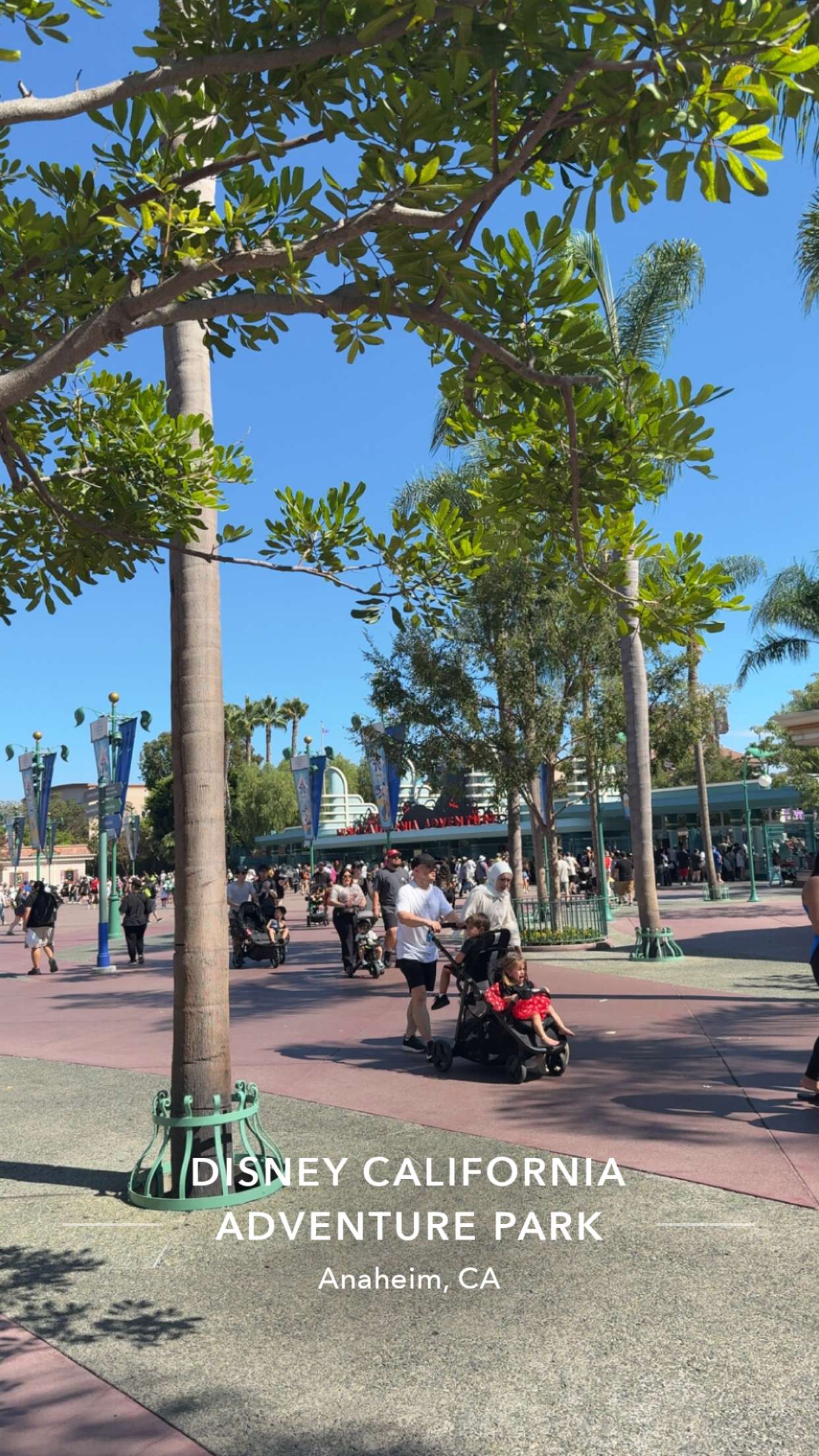 syd.shmitty snapchat image archive image