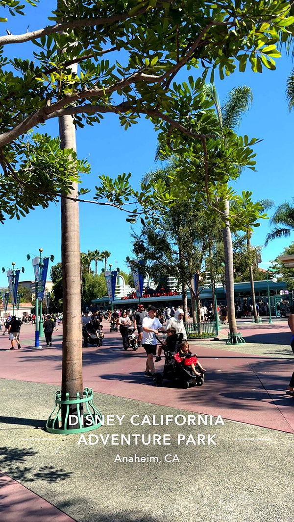 syd.shmitty image ~ Altpins